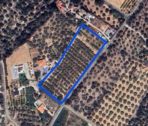 Masdenverge Montsià terreno foto 6271344