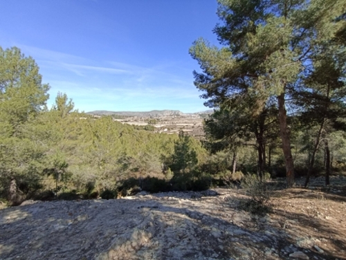 Moraira Marina Alta tomt foto 6266175