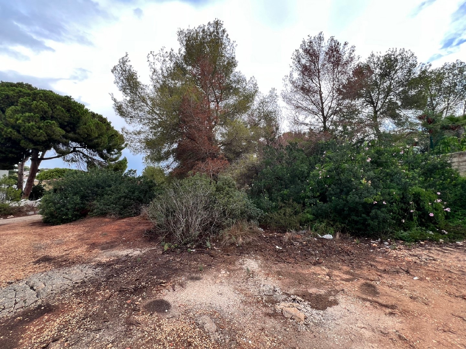  à vendre terrain Moraira Marina Alta 3
