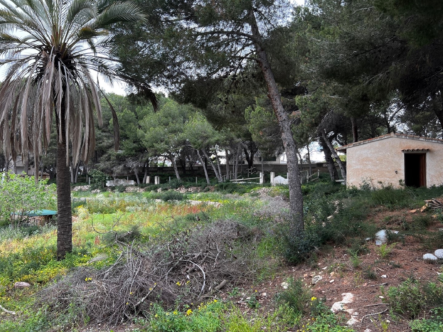 till salu tomt Moraira Marina Alta 2
