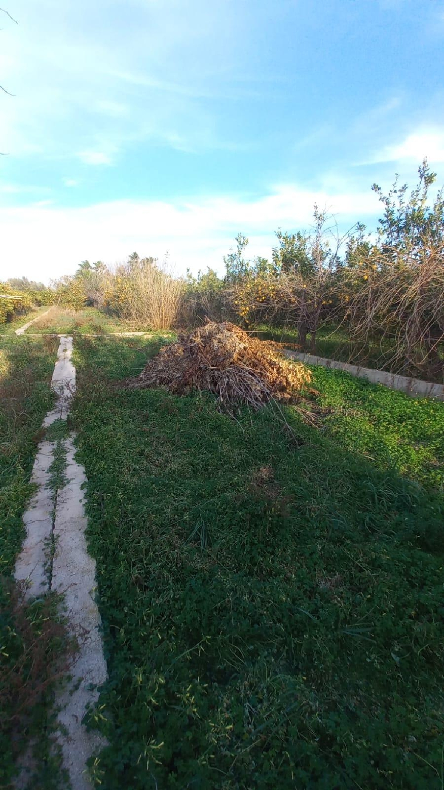 till salu tomt Murcia Centro 30001 Huerta De Murcia 2