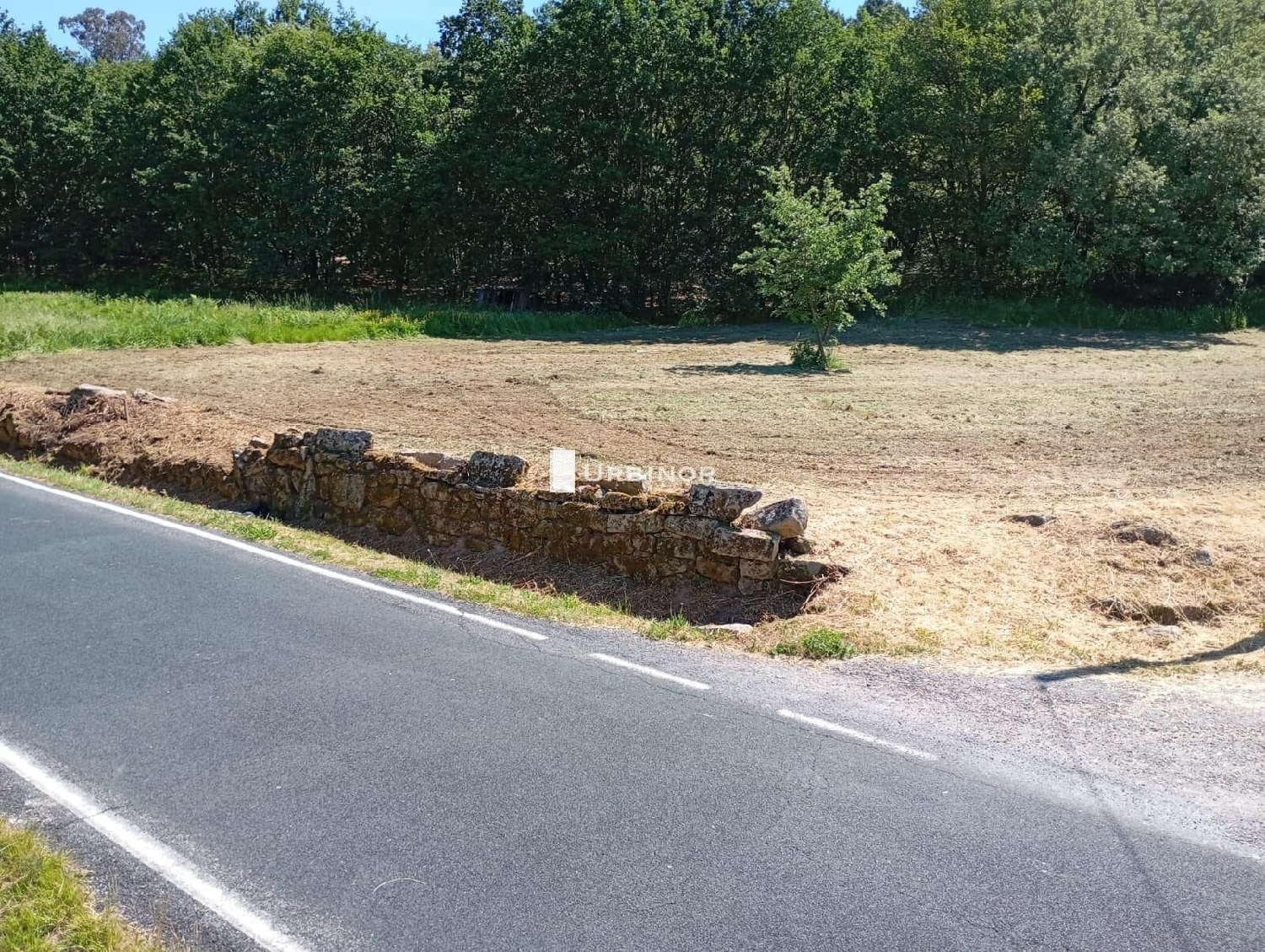  en venta terreno O Pereiro De Aguiar Ourense 5