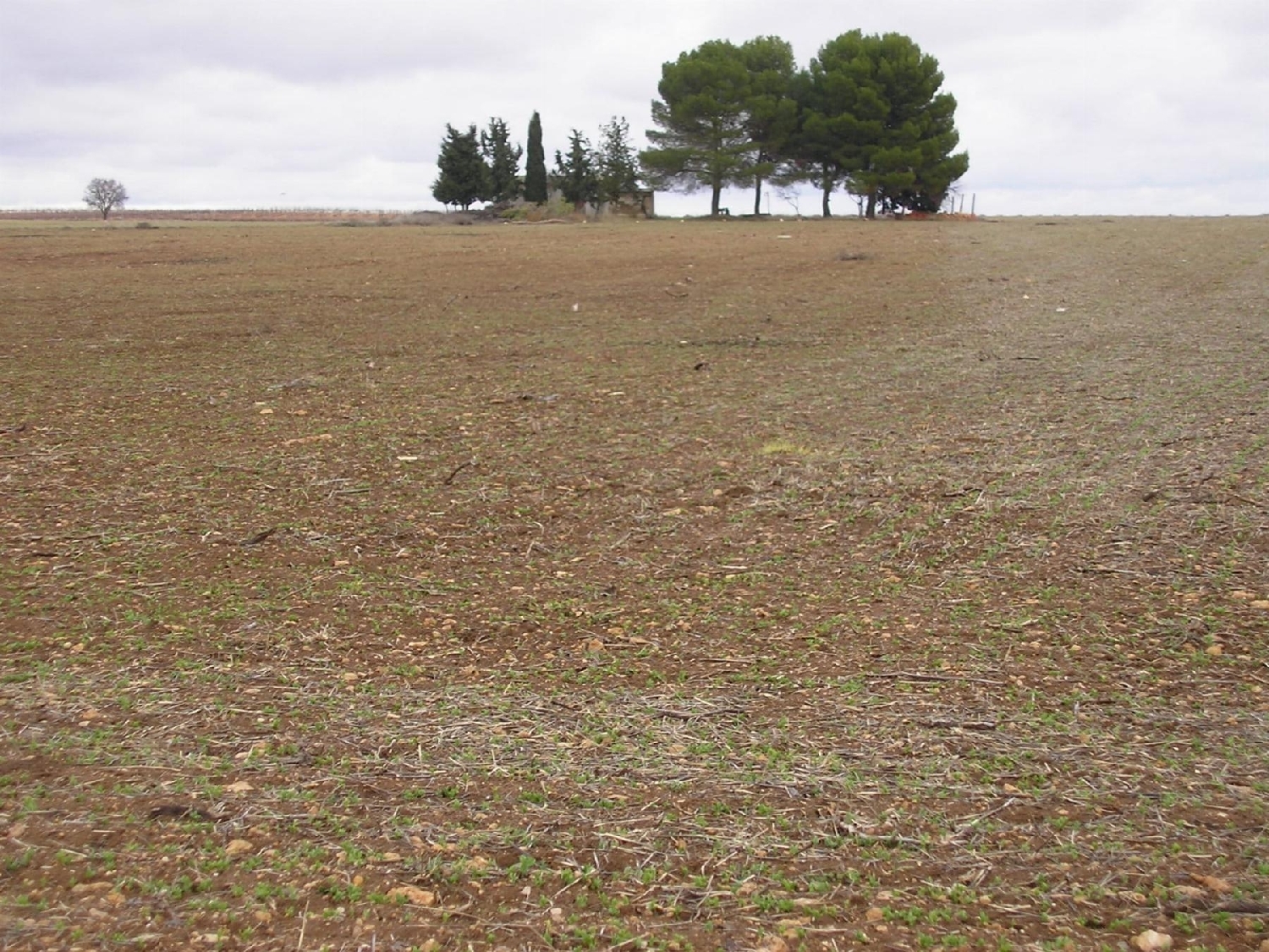 en venta terreno O Toledo Ribeiro 2
