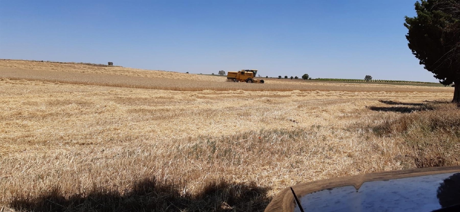  en venta terreno O Toledo Ribeiro 1