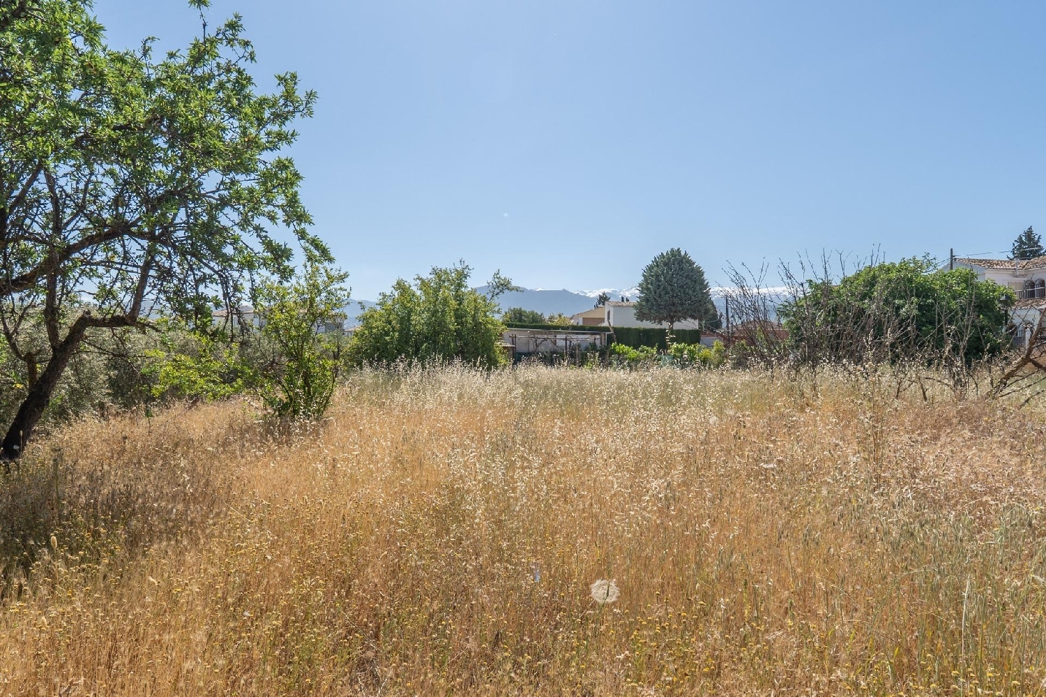  for sale plot Ogíjares Vega De Granada 8