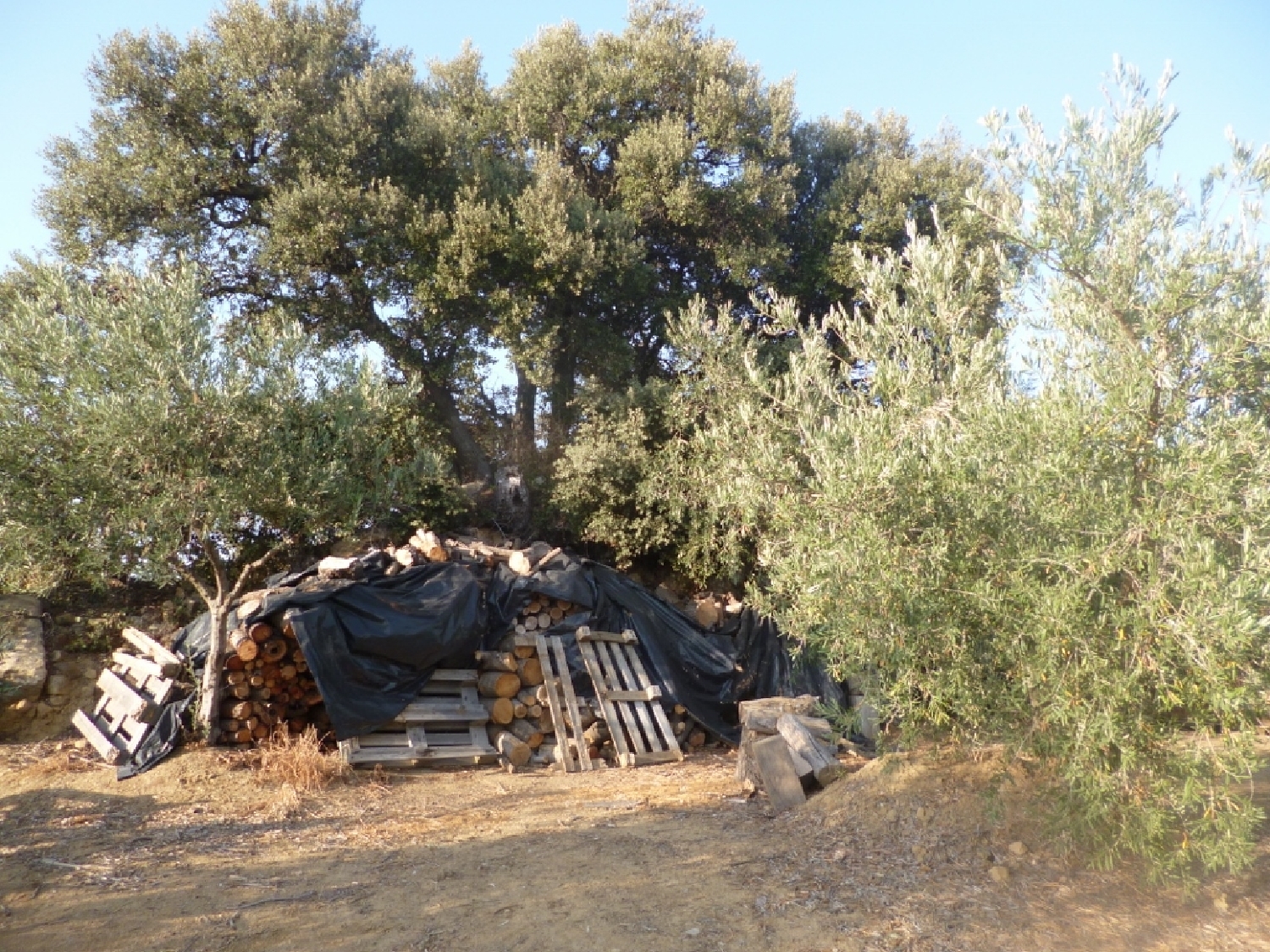  en venta terreno Olvera Sierra De Cádiz 5