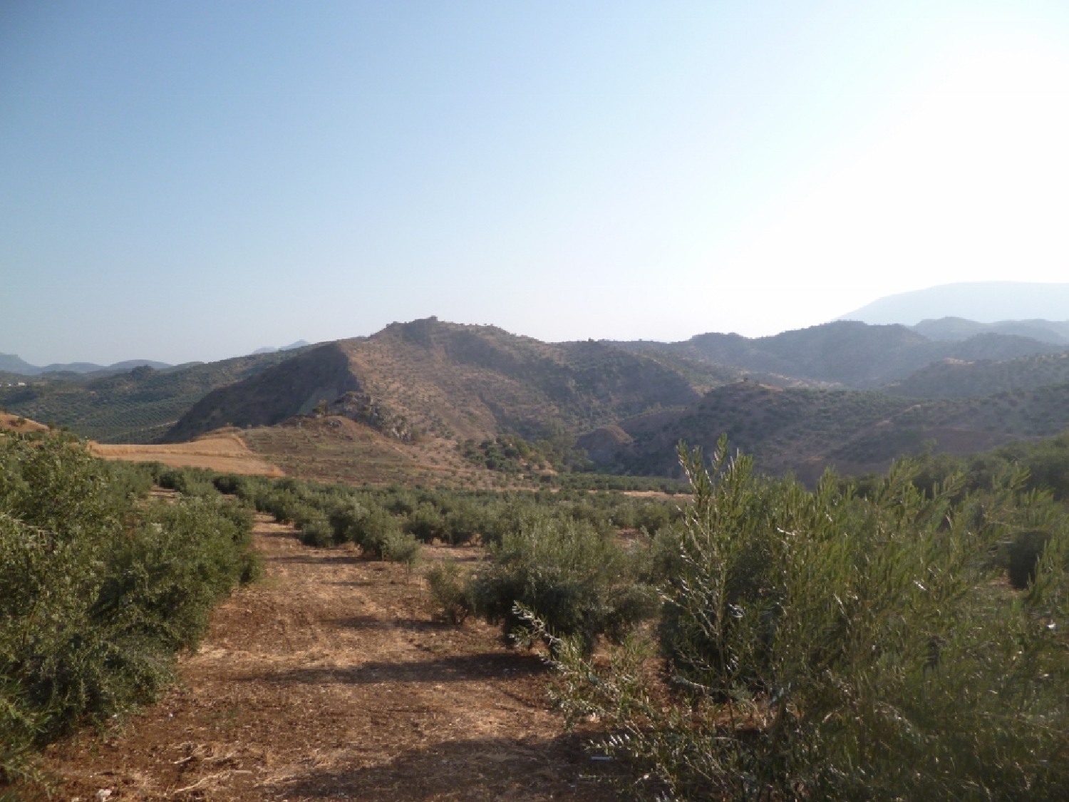  en venta terreno Olvera Sierra De Cádiz 1