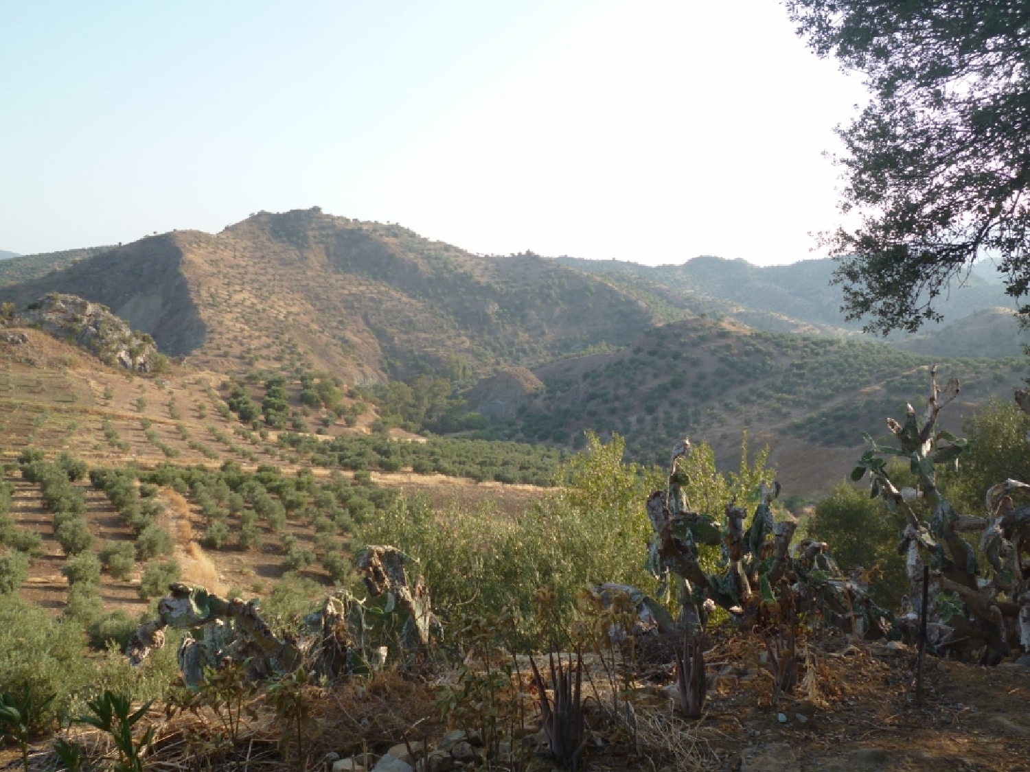  en venta terreno Olvera Sierra De Cádiz 11