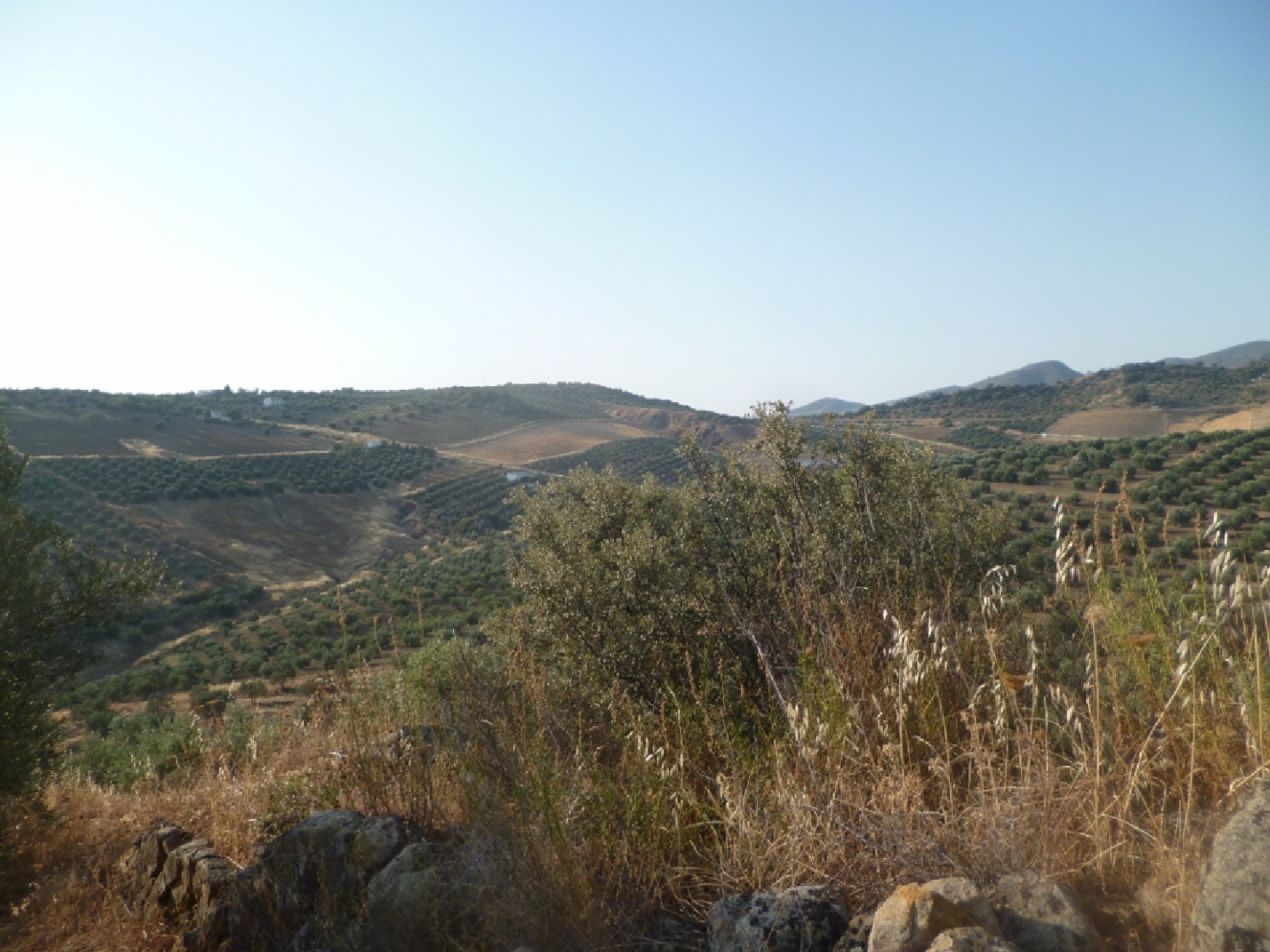  en venta terreno Olvera Sierra De Cádiz 7
