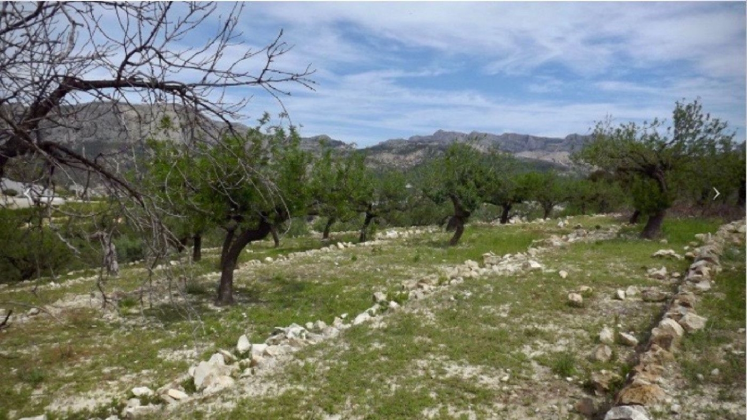 en venta terreno Orihuela Baix Segura 2