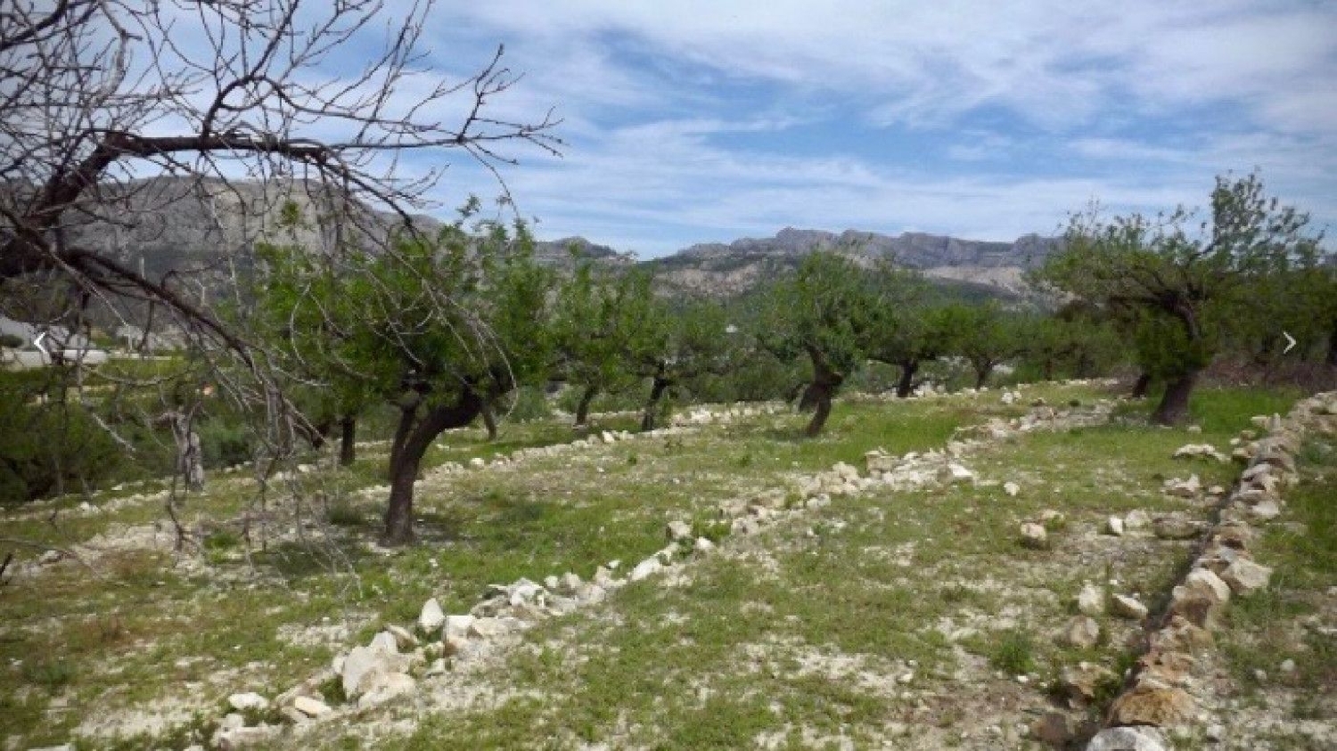 en venta terreno Orihuela Baix Segura 3