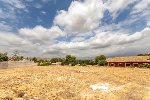 Orihuela Baix Segura plot foto 6282126