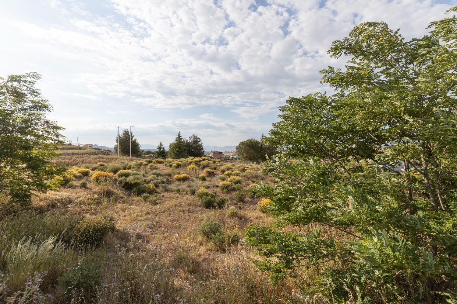  en venta terreno Otura Vega De Granada 4