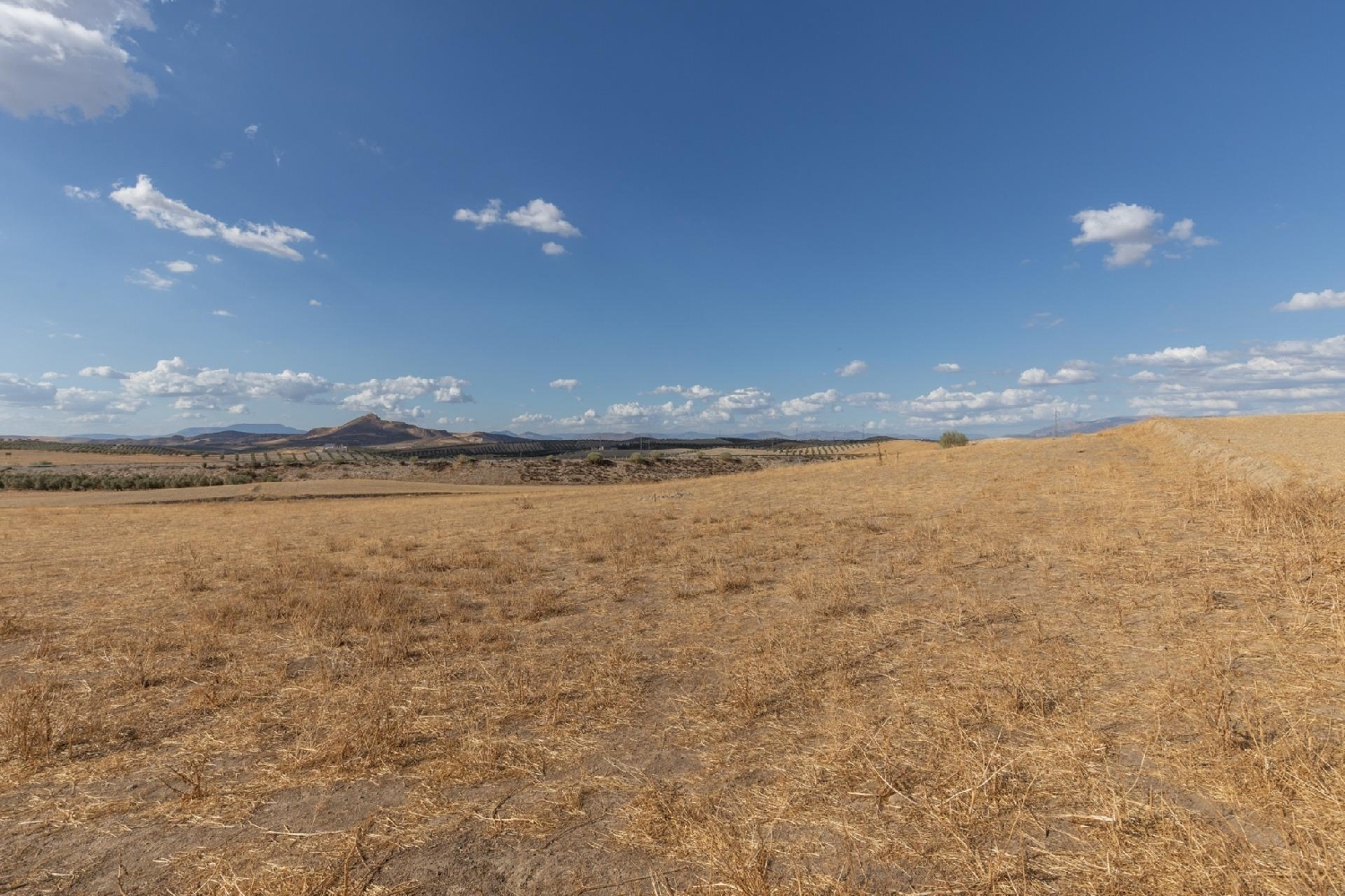  for sale plot Otura Vega De Granada 4