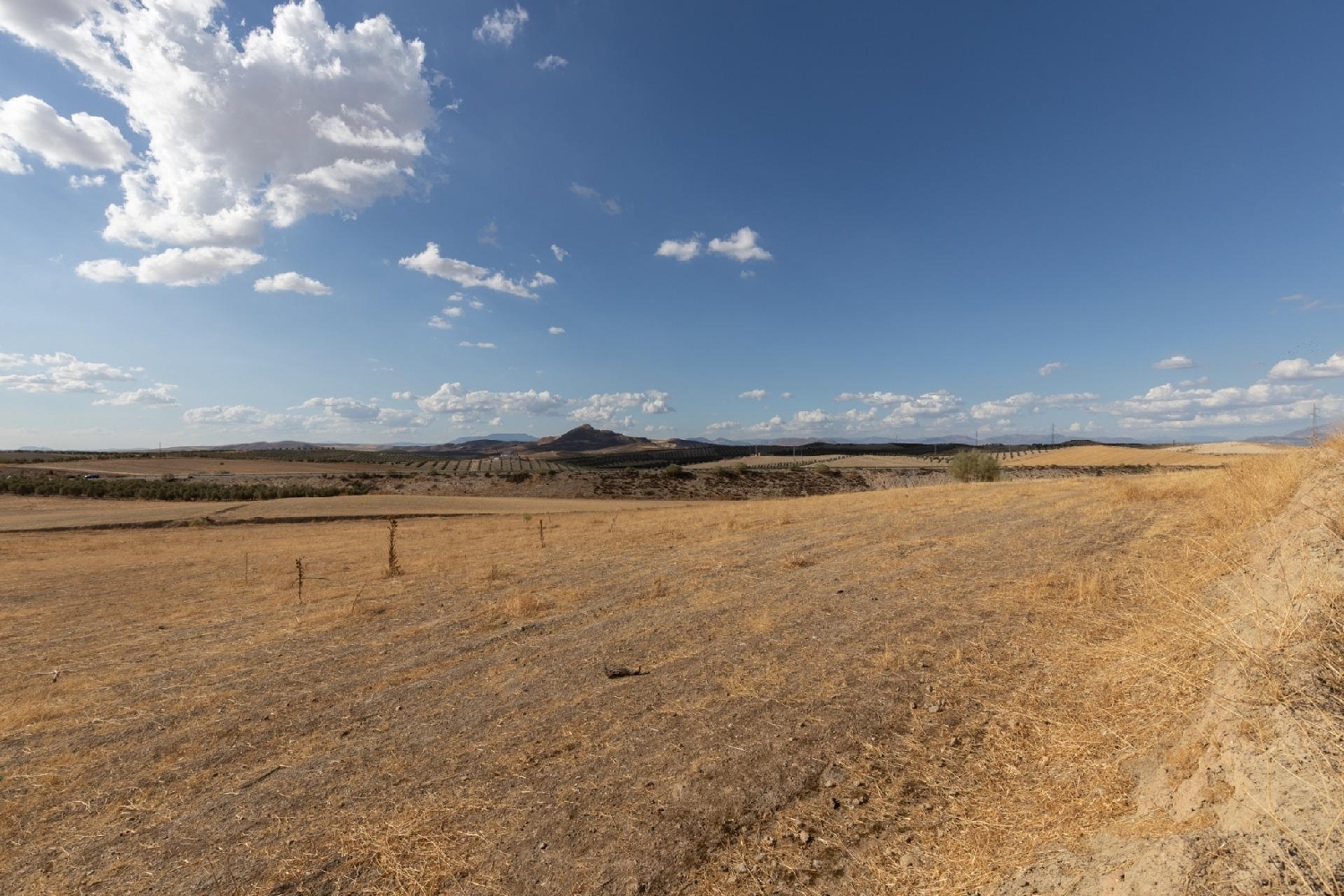 for sale plot Otura Vega De Granada 3