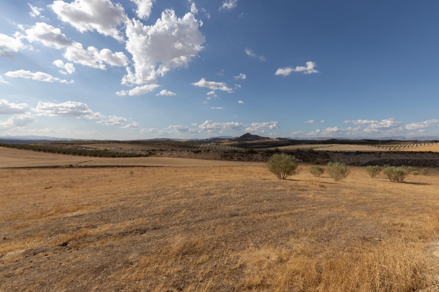 for sale plot Otura Vega De Granada 2