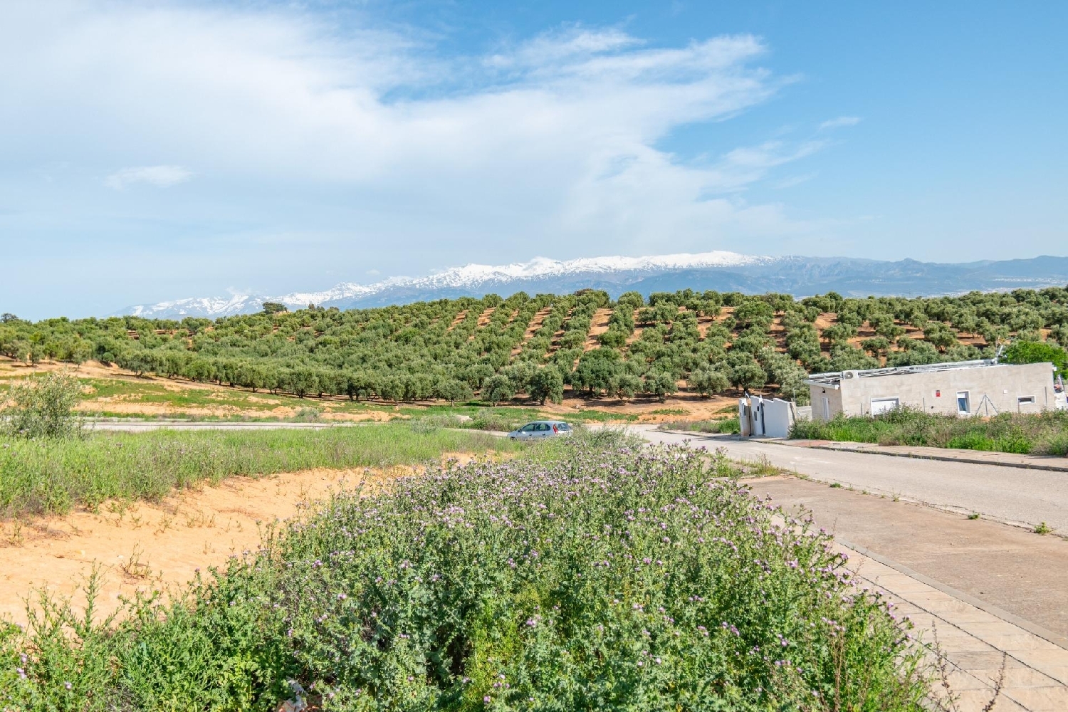  for sale plot Parque De Cubillas Vega De Granada 5