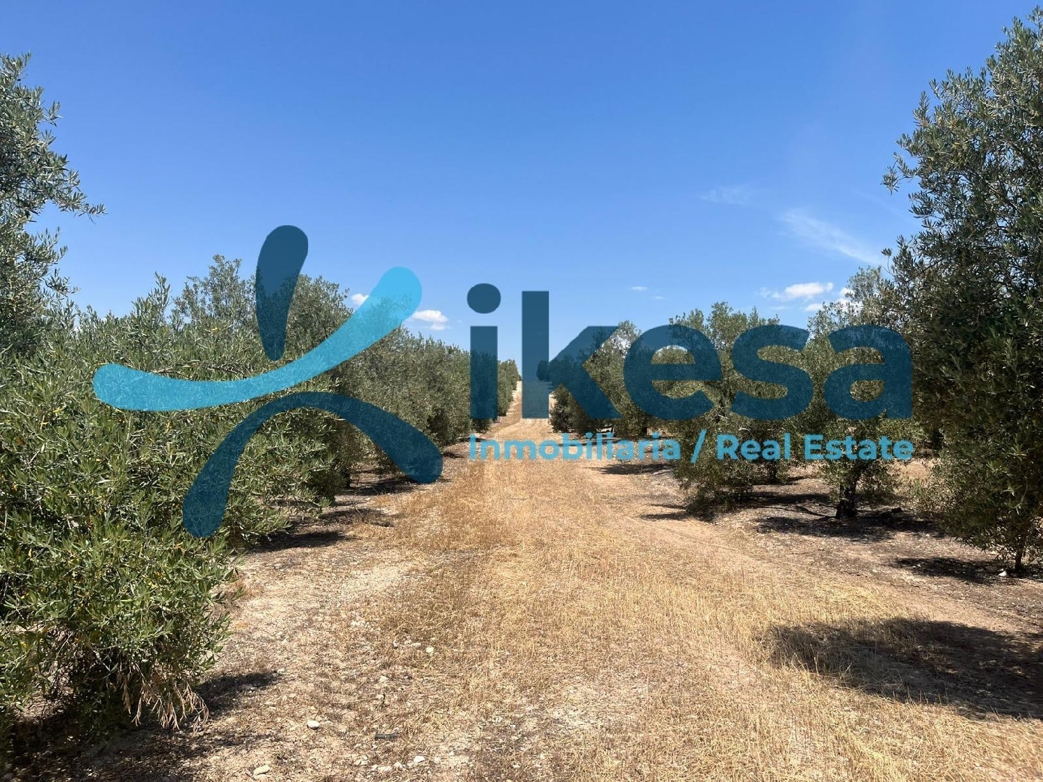  kaufen Grundstück Peal De Becerro Sierra De Cazorla 1