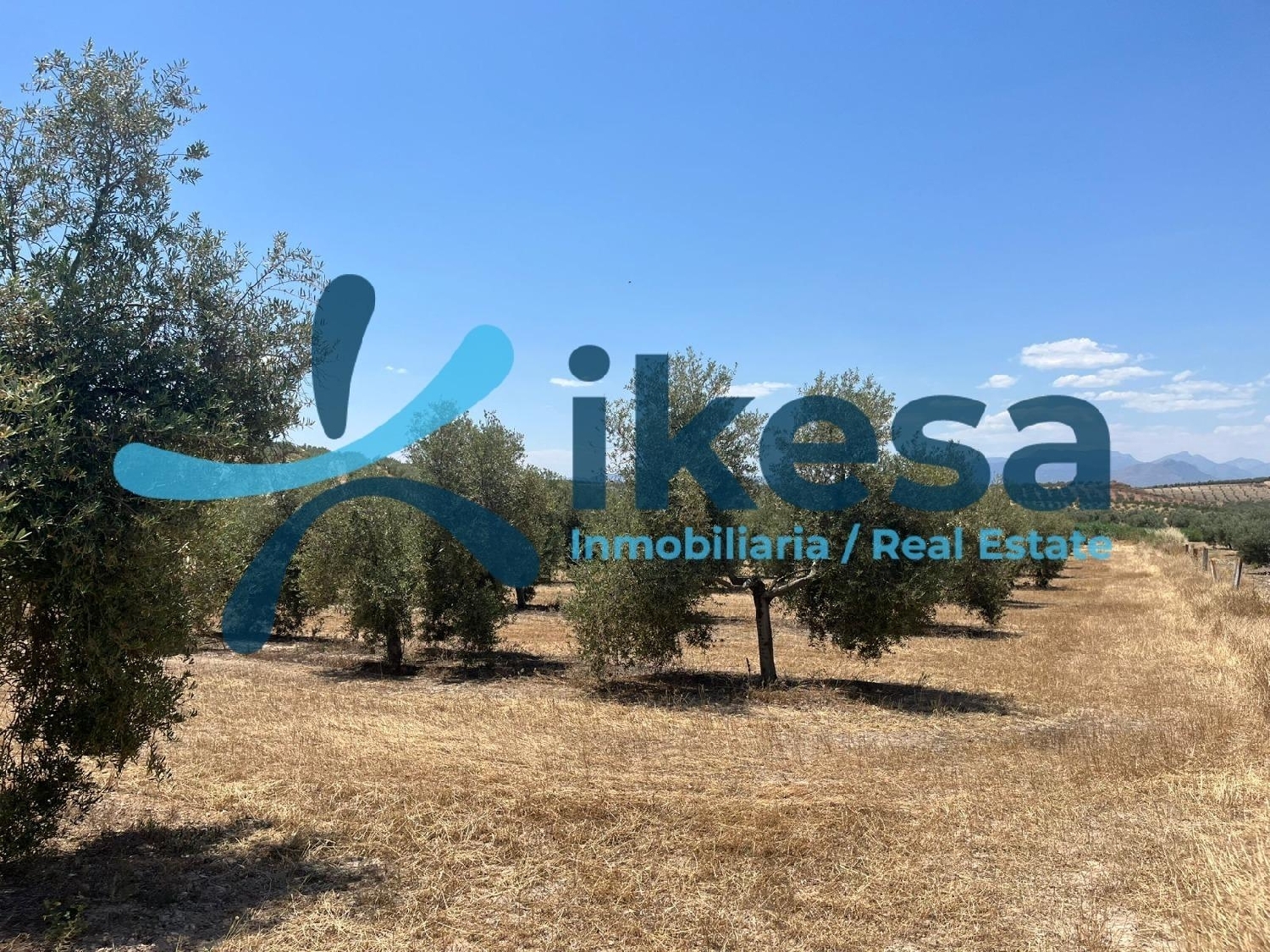 te koop perceel Peal De Becerro Sierra De Cazorla 2