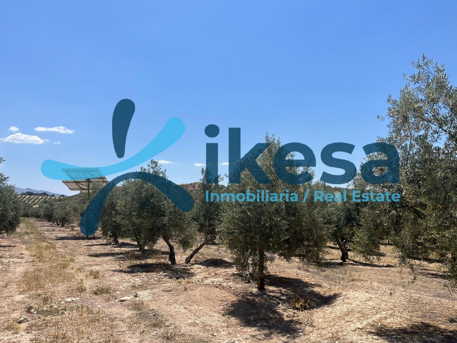 te koop perceel Peal De Becerro Sierra De Cazorla 3