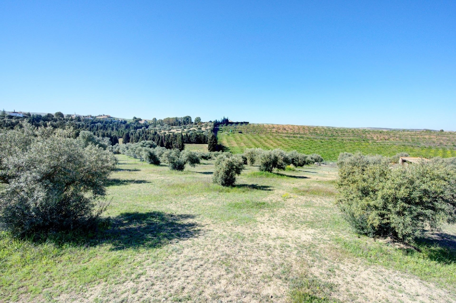  kaufen Grundstück Picena Alpujarra Granadina 6