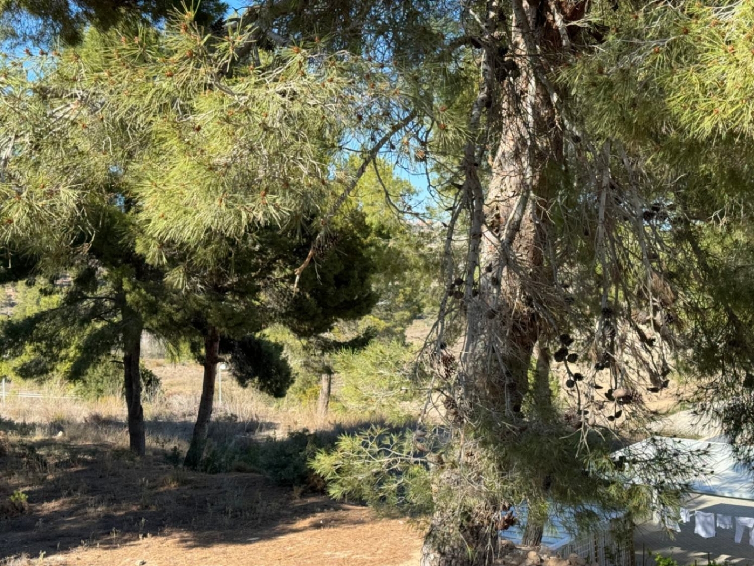  for sale plot La Sabatera Marina Alta 21