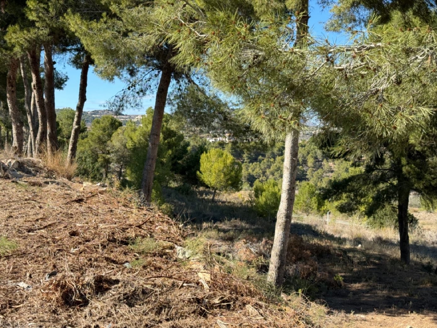  for sale plot La Sabatera Marina Alta 22