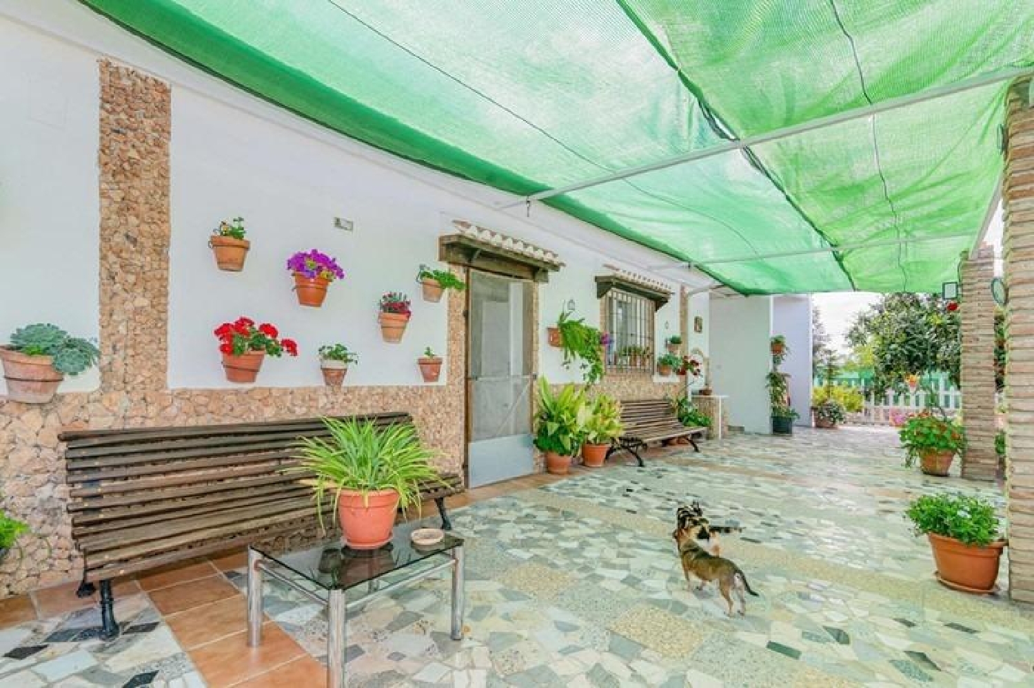  en venta terreno Pinos Puente Vega De Granada 4