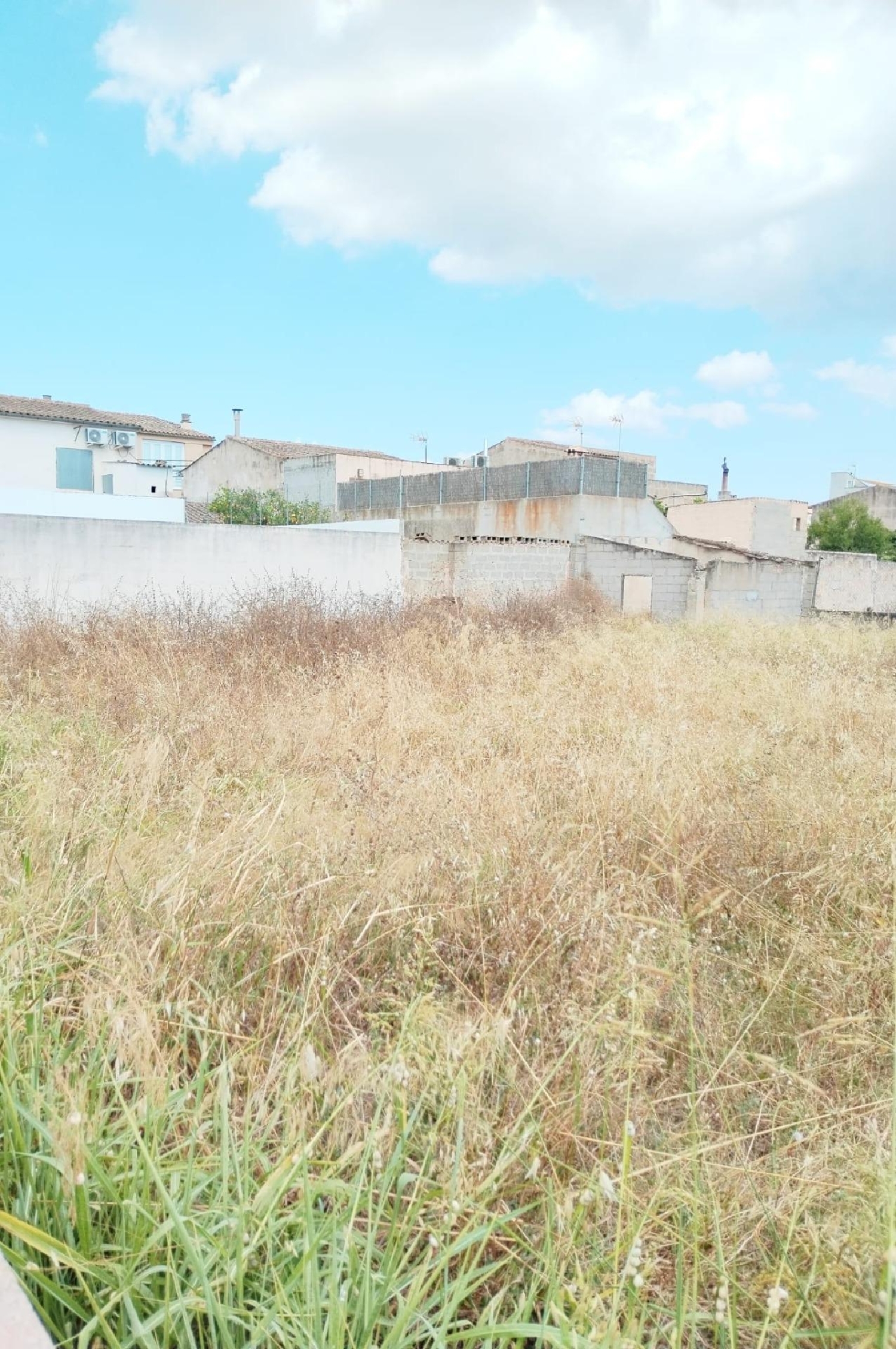  à vendre terrain Porreres Pla (Es) 1