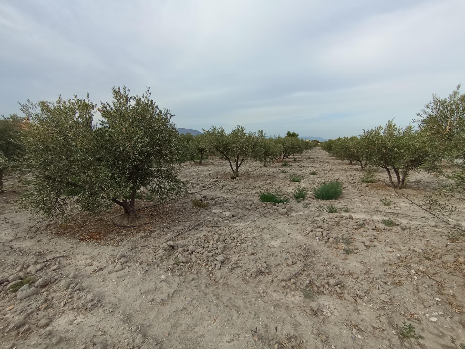  te koop perceel Puerto Lumbreras Alto Guadalentín 7