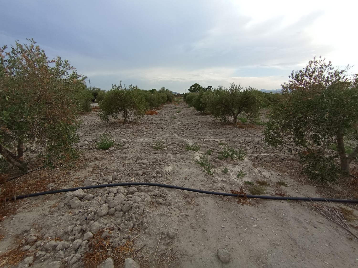  te koop perceel Puerto Lumbreras Alto Guadalentín 5