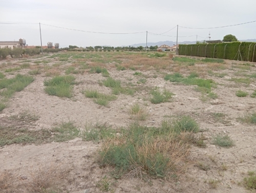 Puerto Lumbreras Alto Guadalentín plot foto 6284137