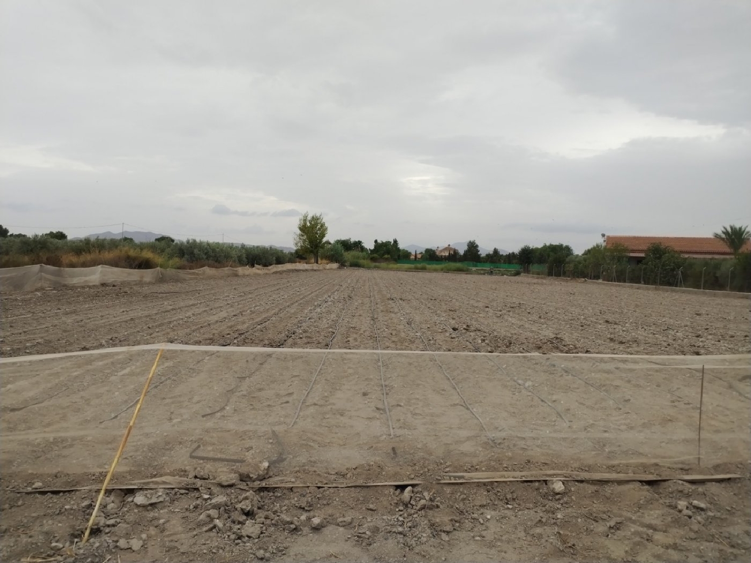 te koop perceel Puerto Lumbreras Alto Guadalentín 3