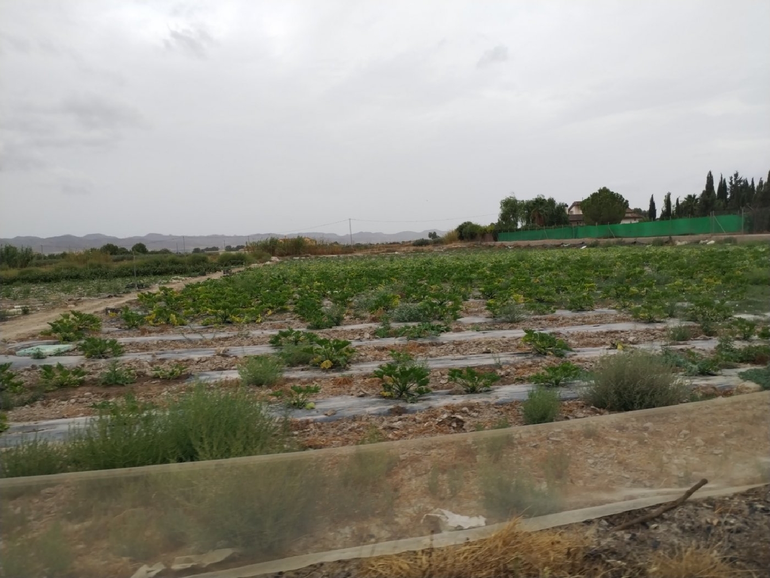  te koop perceel Puerto Lumbreras Alto Guadalentín 4