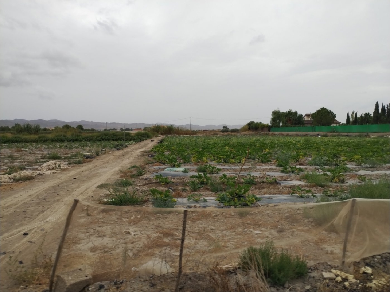  te koop perceel Puerto Lumbreras Alto Guadalentín 6