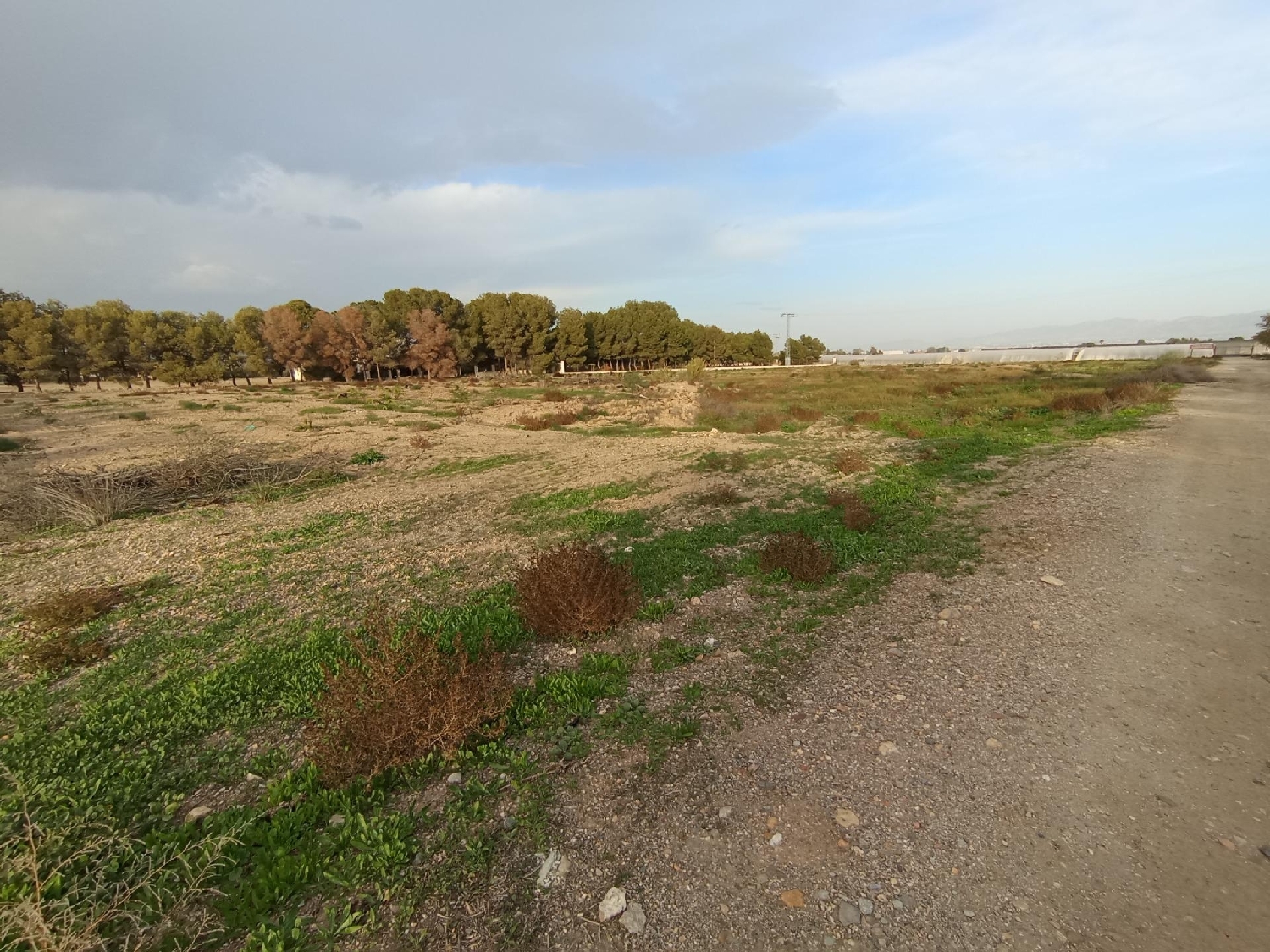  te koop perceel Puerto Lumbreras Alto Guadalentín 4