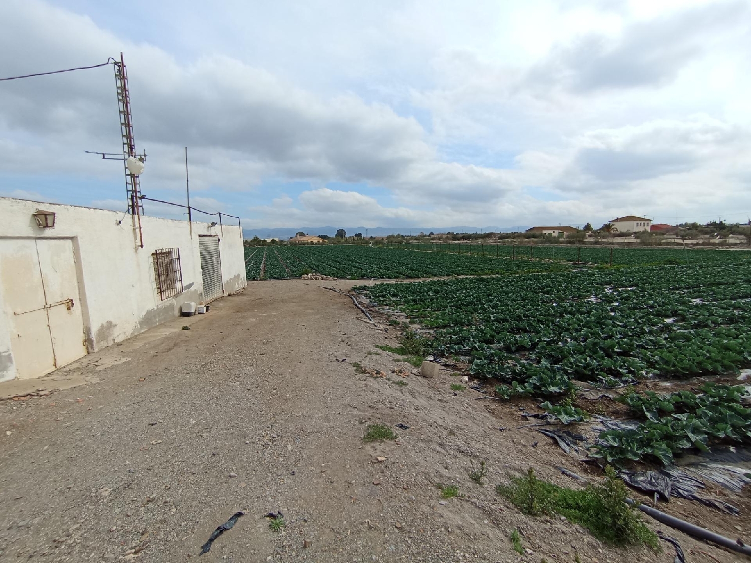  for sale plot Puerto Lumbreras Alto Guadalentín 4