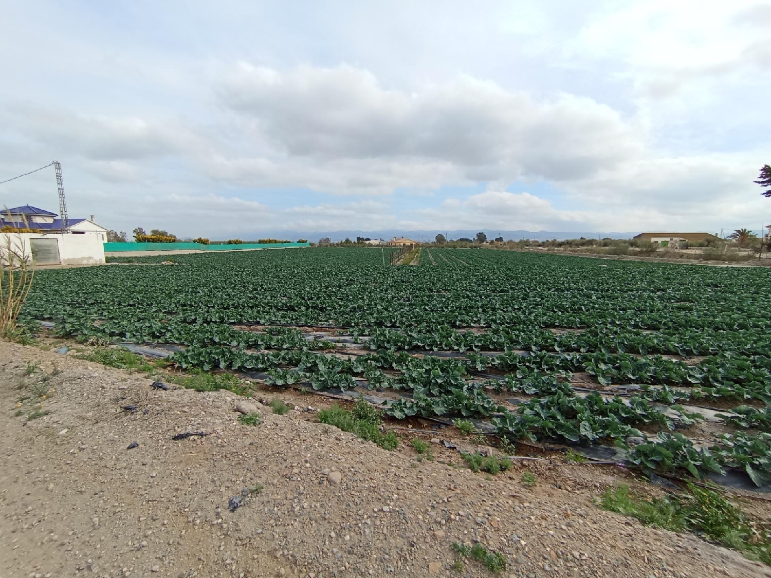  for sale plot Puerto Lumbreras Alto Guadalentín 1