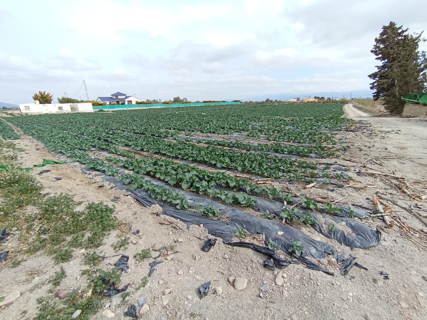 for sale plot Puerto Lumbreras Alto Guadalentín 7