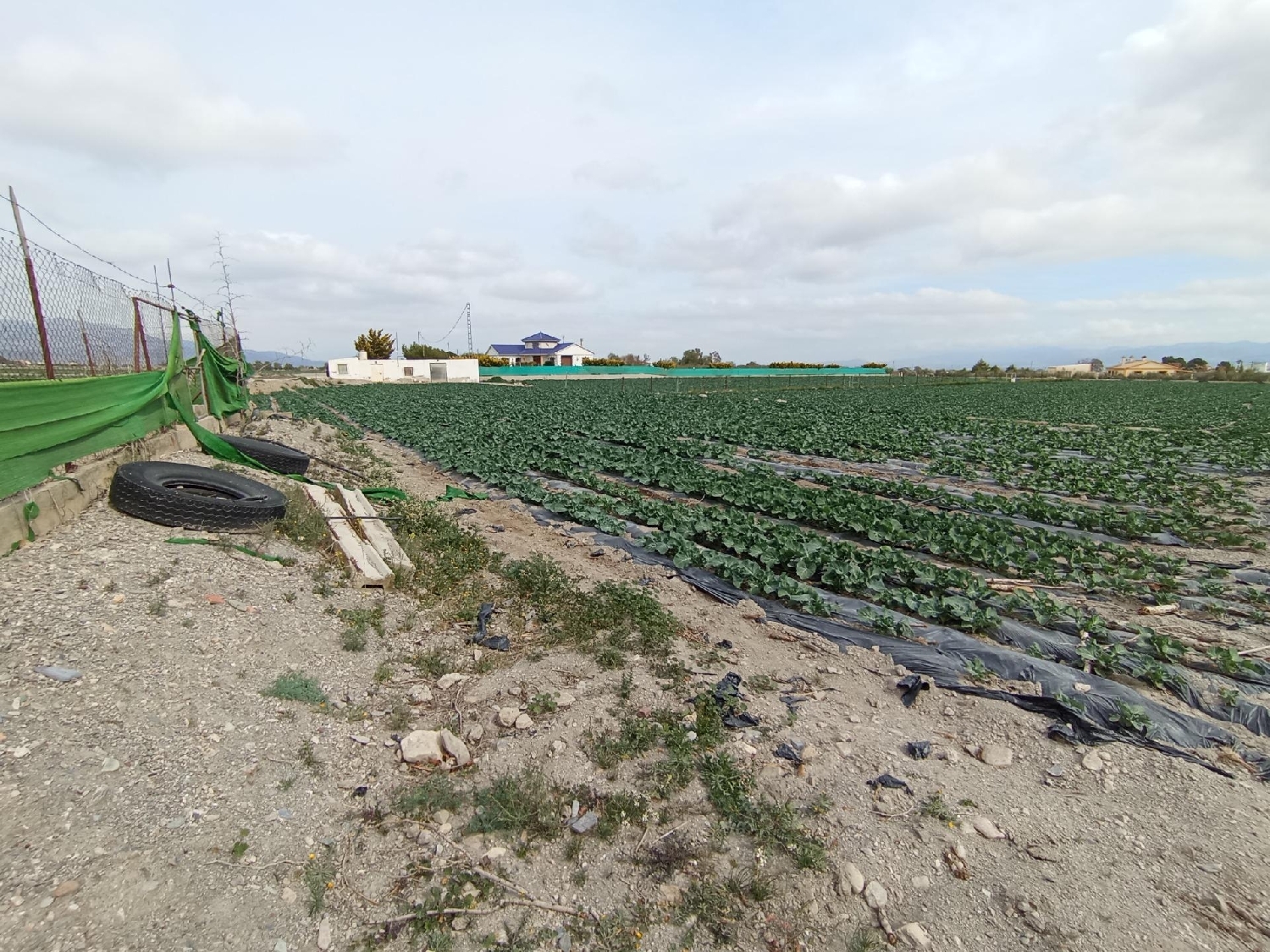  for sale plot Puerto Lumbreras Alto Guadalentín 4