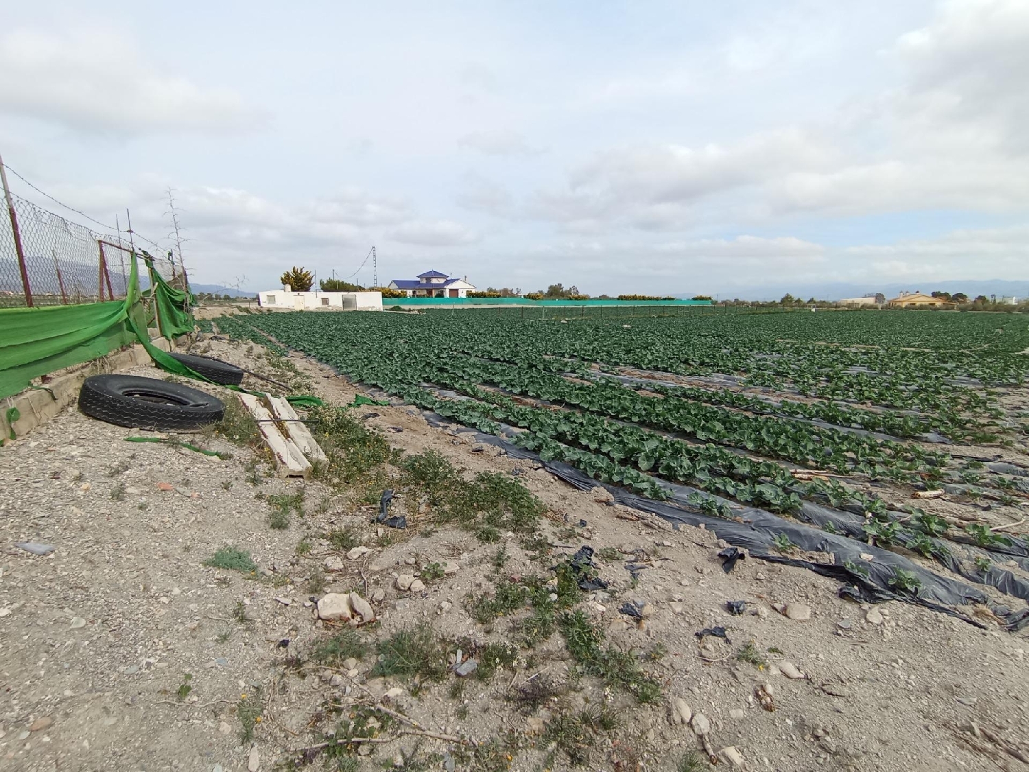  for sale plot Puerto Lumbreras Alto Guadalentín 6