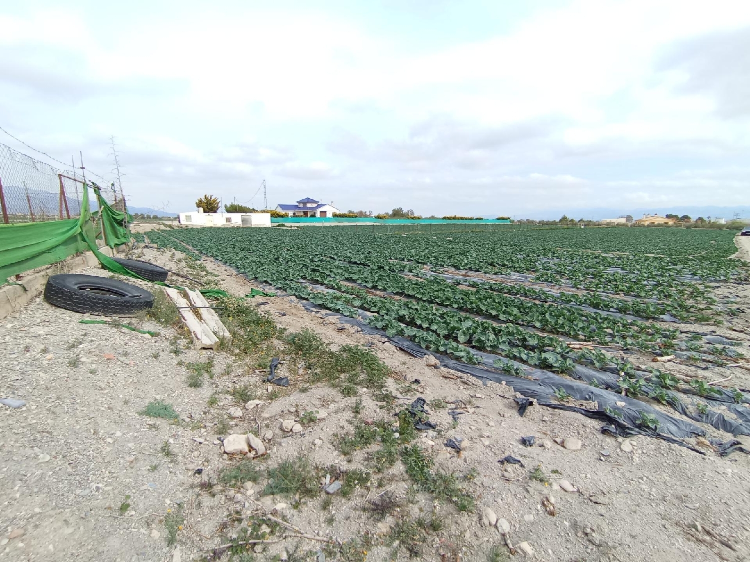 for sale plot Puerto Lumbreras Alto Guadalentín 2