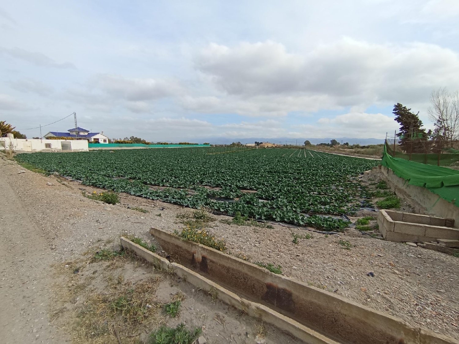 for sale plot Puerto Lumbreras Alto Guadalentín 3