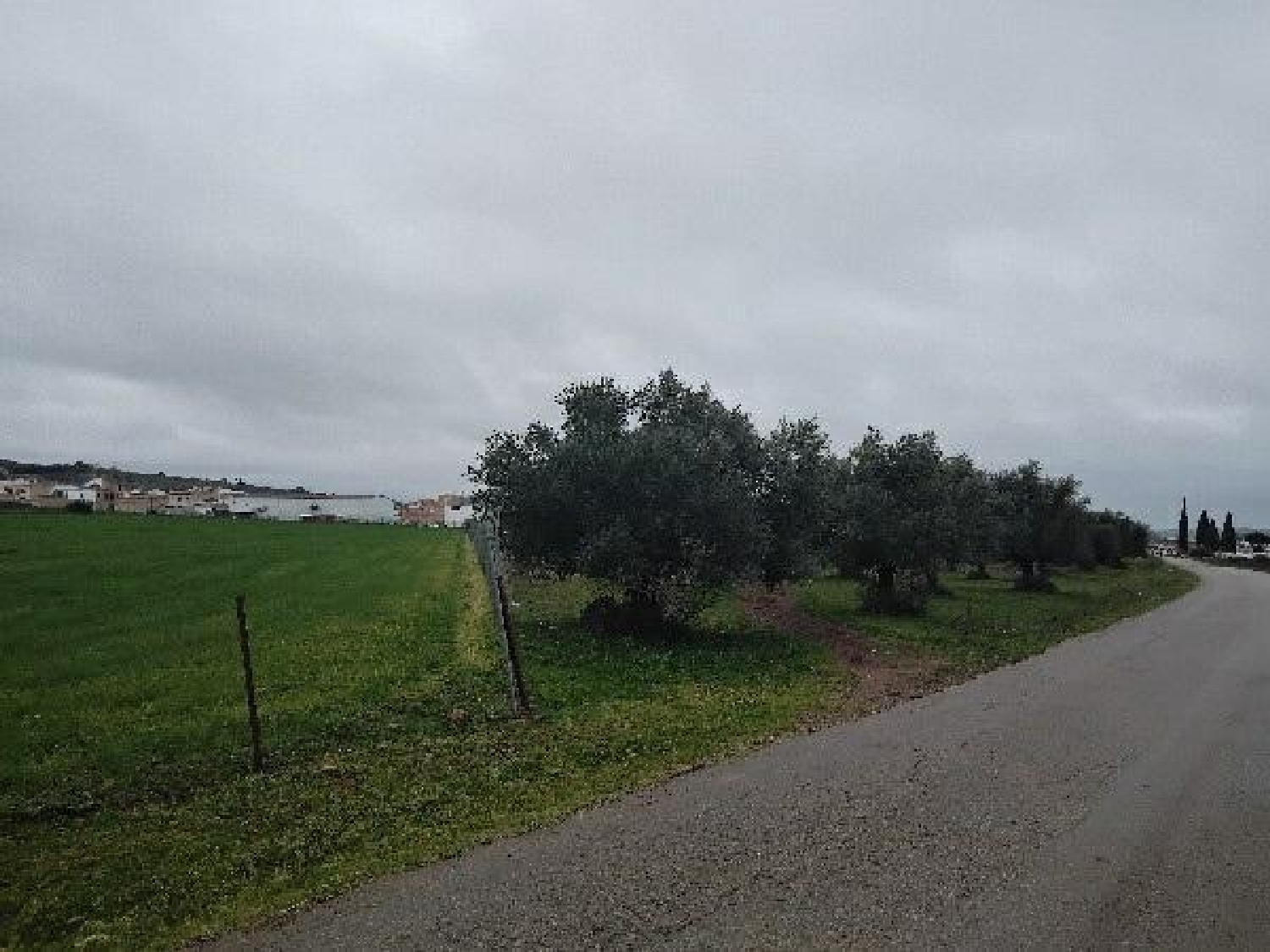  te koop perceel Puerto Serrano Sierra De Cádiz 8
