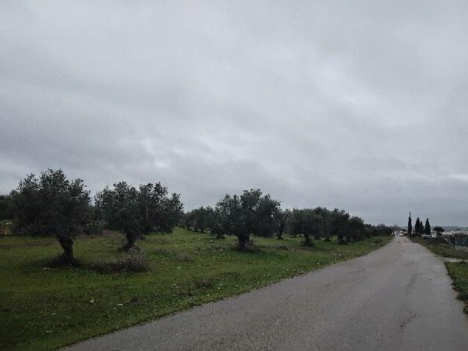  te koop perceel Puerto Serrano Sierra De Cádiz 4
