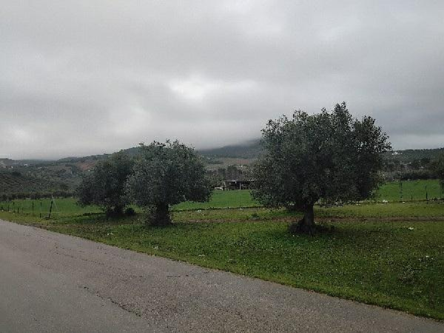  te koop perceel Puerto Serrano Sierra De Cádiz 5
