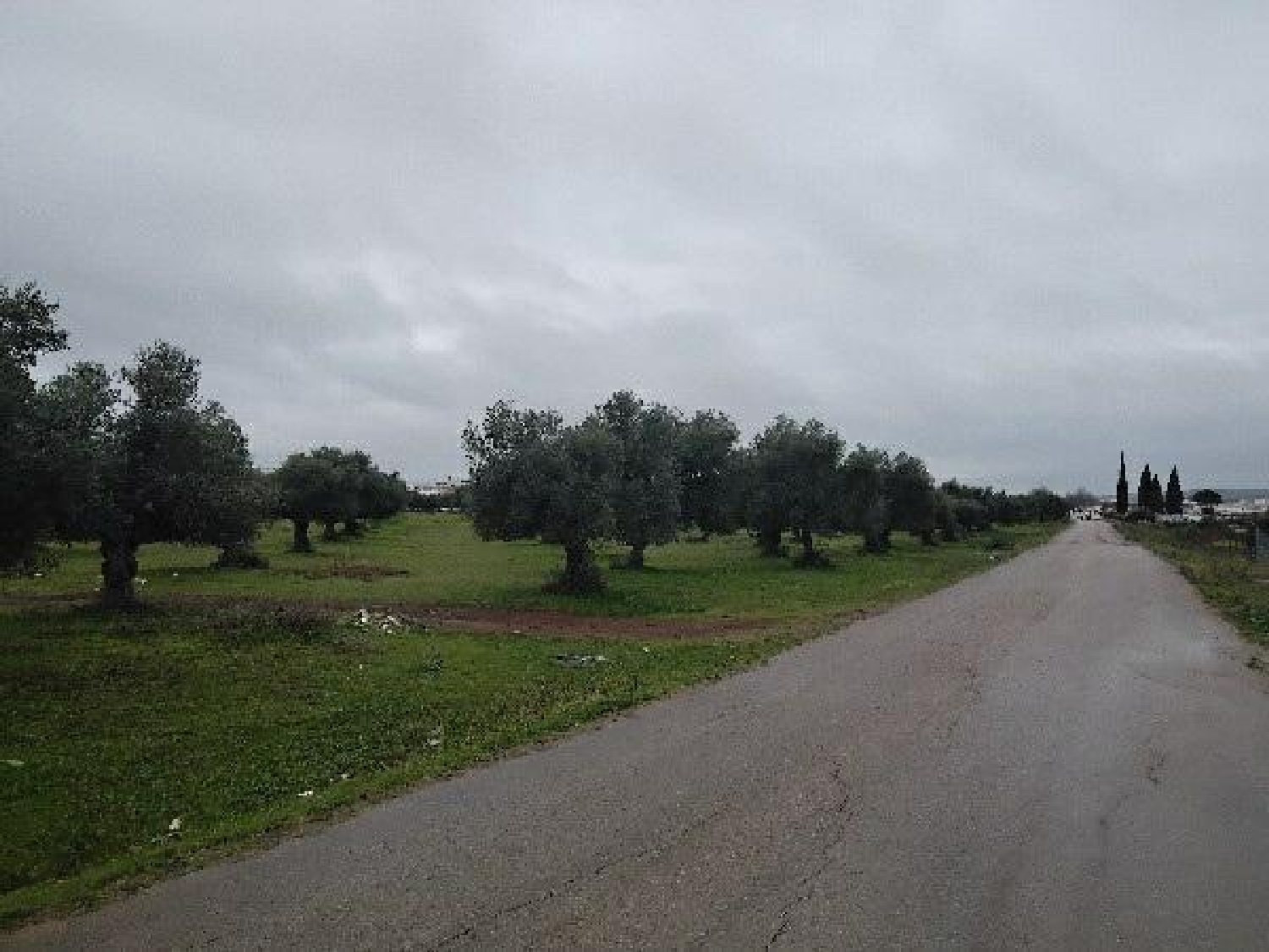 te koop perceel Puerto Serrano Sierra De Cádiz 3