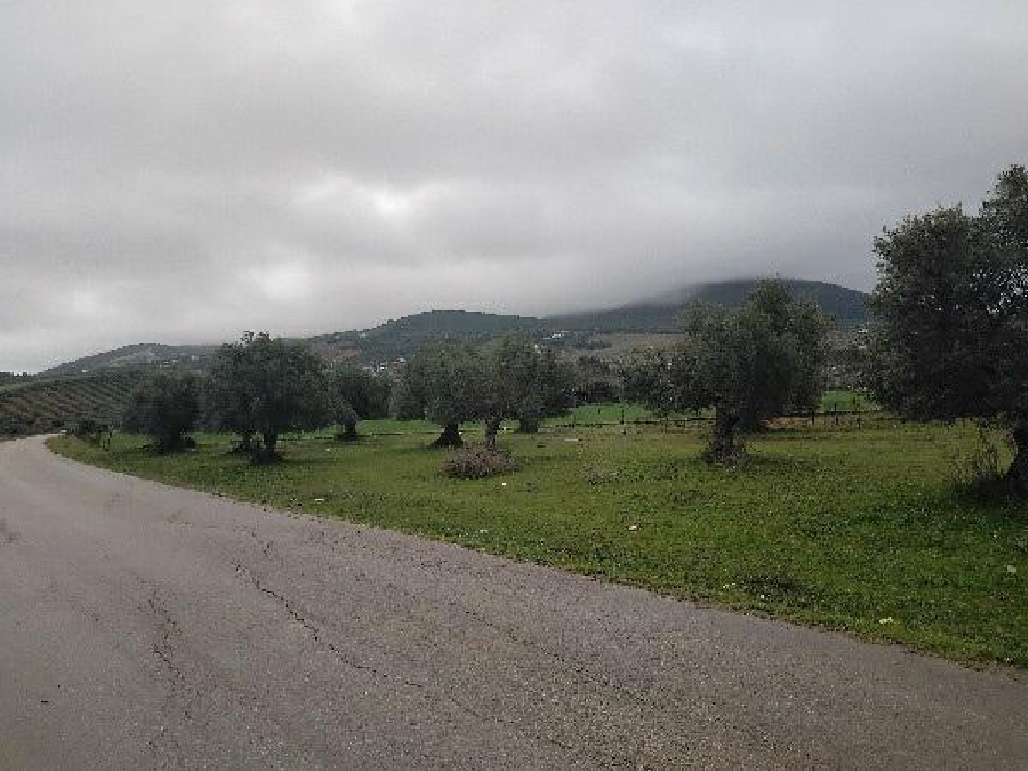 te koop perceel Puerto Serrano Sierra De Cádiz 2