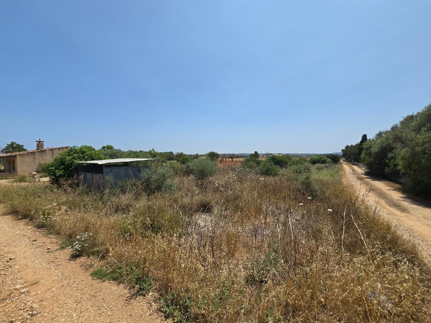  te koop perceel Sa Pobla Nord 5