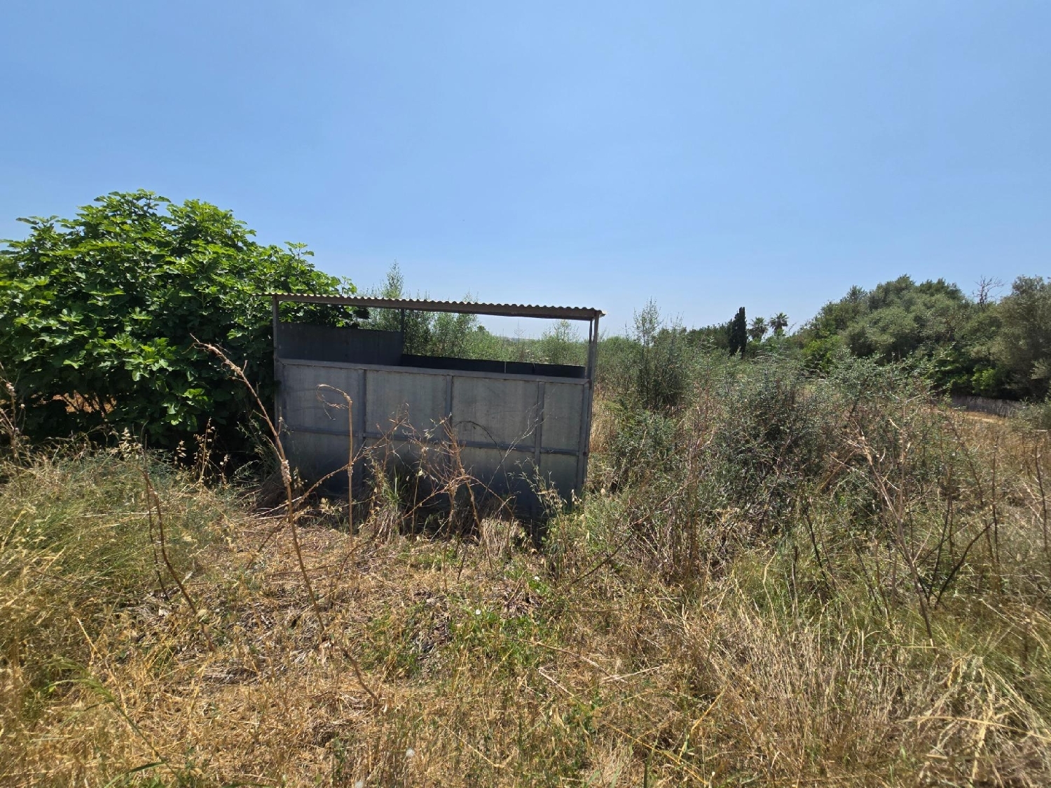 te koop perceel Sa Pobla Nord 3